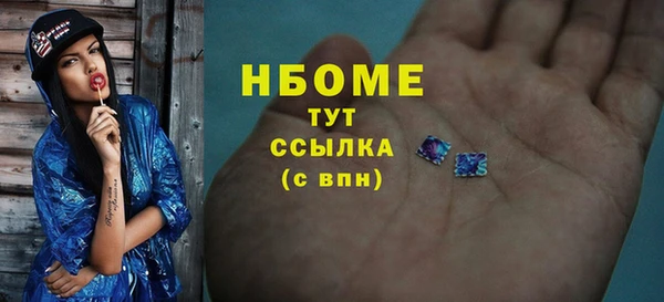 тгк Дмитриев