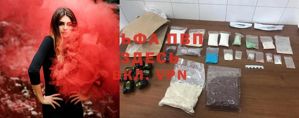 тгк Дмитриев