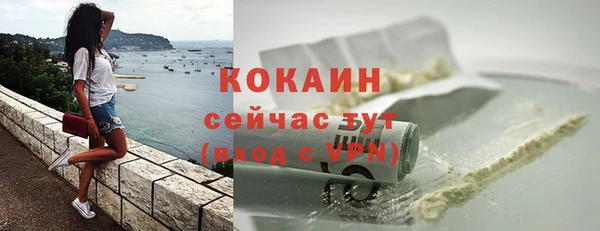 тгк Дмитриев