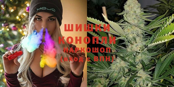 тгк Дмитриев