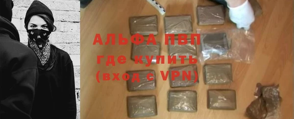 тгк Дмитриев