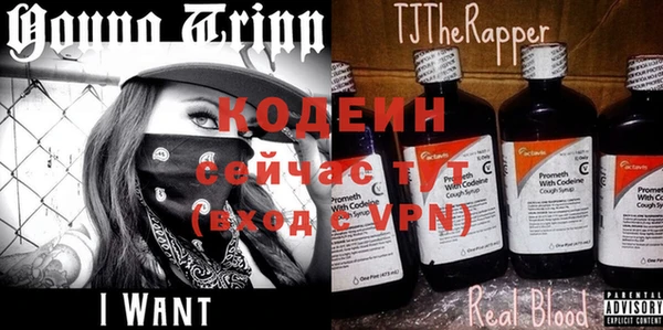 тгк Дмитриев