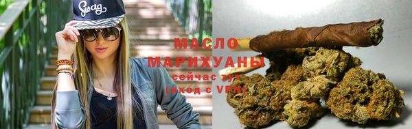 тгк Дмитриев