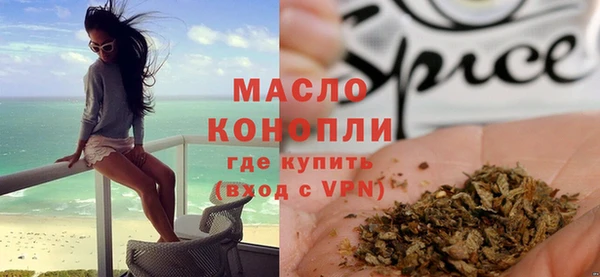 тгк Дмитриев