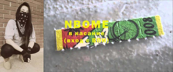 тгк Дмитриев