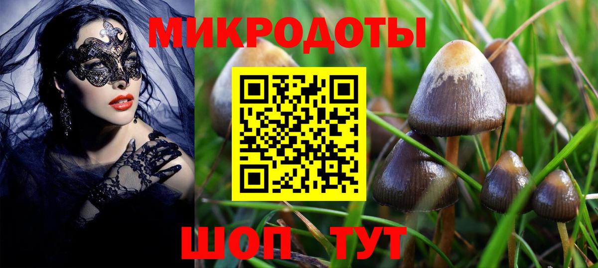 Псилоцибиновые грибы GOLDEN TEACHER Домодедово