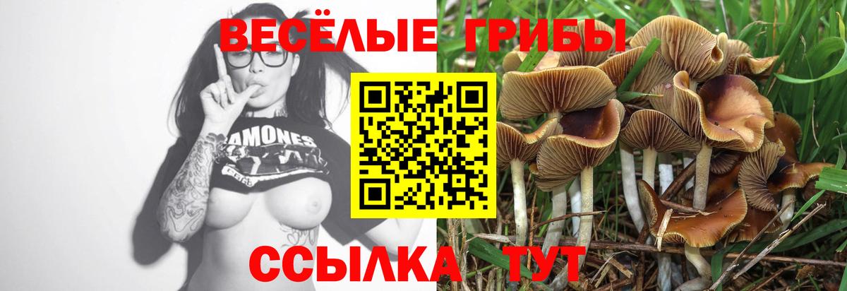 Галлюциногенные грибы MAGIC MUSHROOMS  Вход с VPN  Псилоцибиновые грибы ЛСД  Домодедово 
